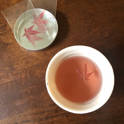 ߤ㡡ϡ츩¿ԡҤߤǸꡡϡ֥ƥJapanese maple tea made in Japan Garden Fondly USA New Jersey herbal tea