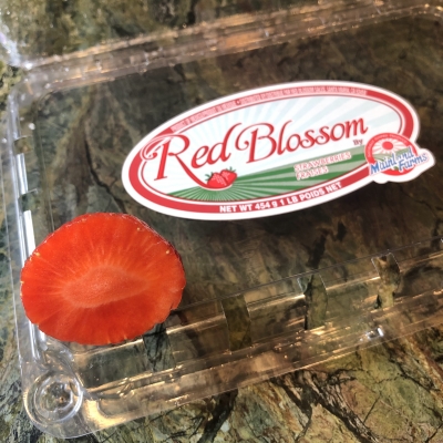 チーズケーキ　中も赤いイチゴ　松のリース　ニュージャージー　アメリカ　red bloom strawberry cheesecake pine wreath New Jersey USA Garden Fondly
