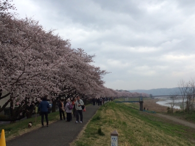 2016_spring