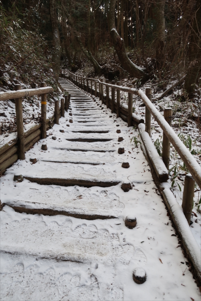 開運の初寅＜信貴山朝護孫子寺＆金剛山 千早本道＞ | 楽人の山歩道
