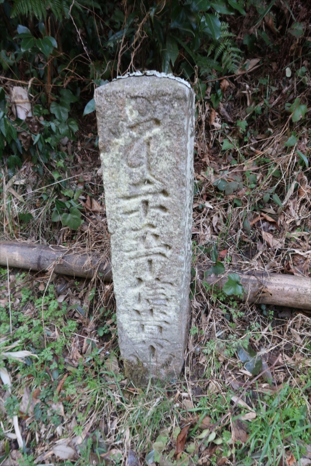 開運の初寅＜信貴山朝護孫子寺＆金剛山 千早本道＞ | 楽人の山歩道
