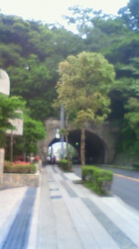 c-201205091637001.jpg