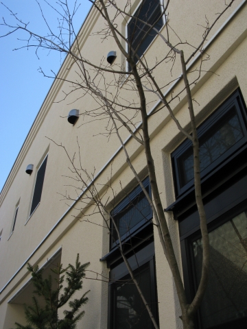 c-IMG_5388.jpg