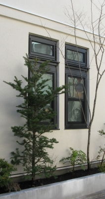 c-IM_5385.jpg