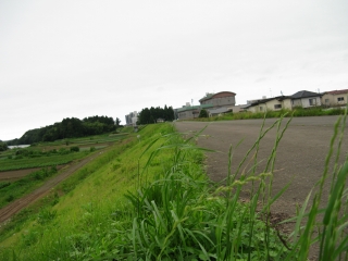 c-IMG_0975.jpg