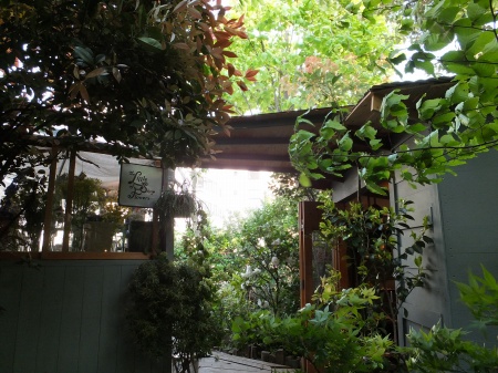 c-DSCF2019.jpg