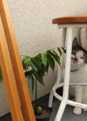 c-DSCF2801.jpg