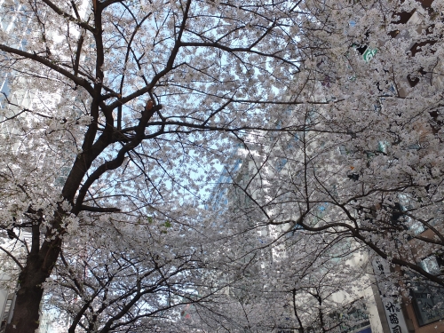 c-DSCF4348.jpg
