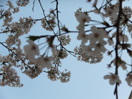 c-DSCF4357.jpg