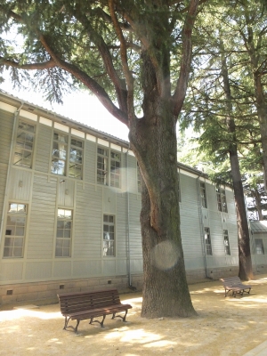 c-DSCF4651.jpg