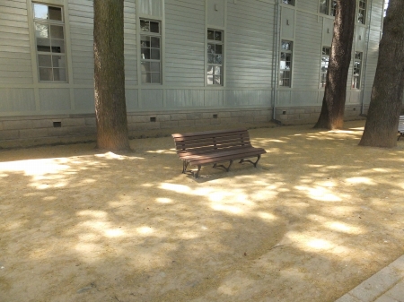 c-DSCF4652.jpg