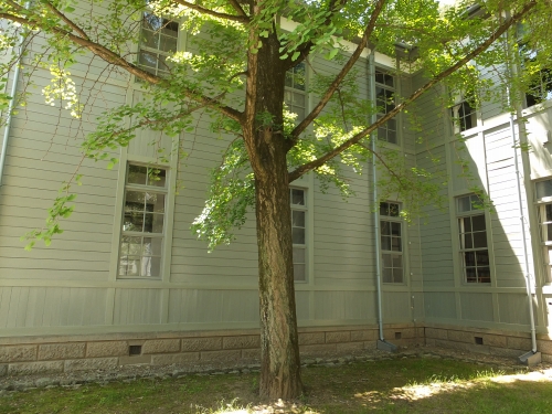 c-DSCF4663.jpg