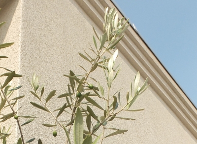 c-DSCF4969.jpg