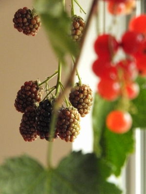 c-DSCF5001.jpg