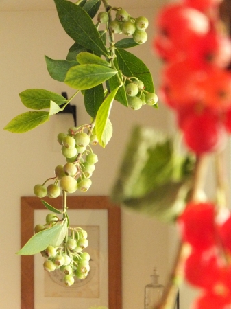 c-DSCF5019.jpg