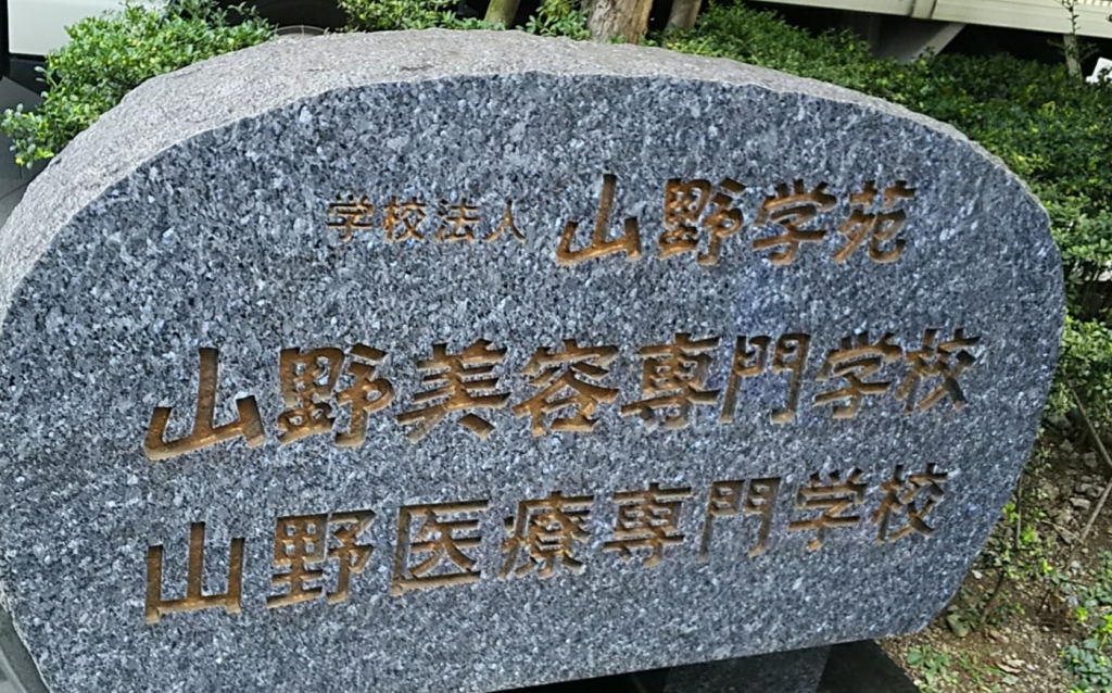 IMG_20180818_224519.jpg