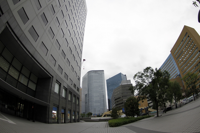 _MG_0715.jpg