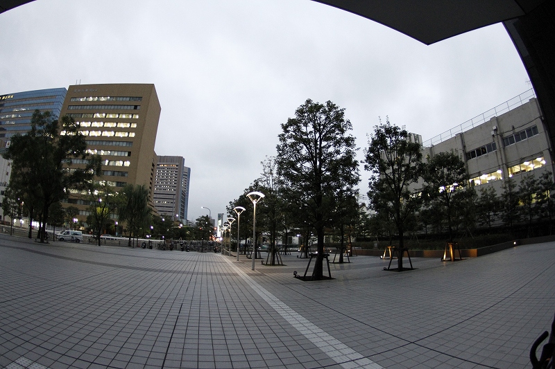 _MG_0716.jpg