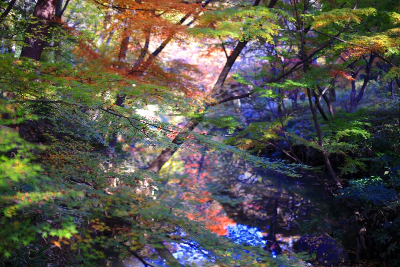 _MG_1570.jpg