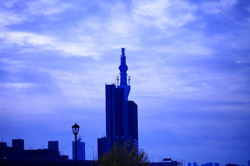 _MG_2171.jpg