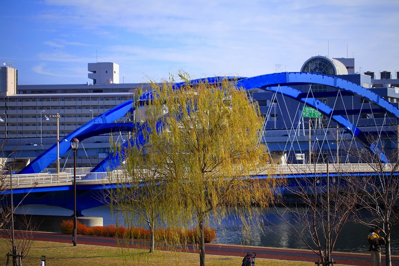 _MG_2182.jpg