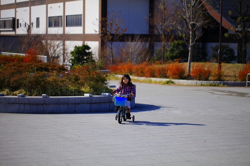 _MG_2183.jpg