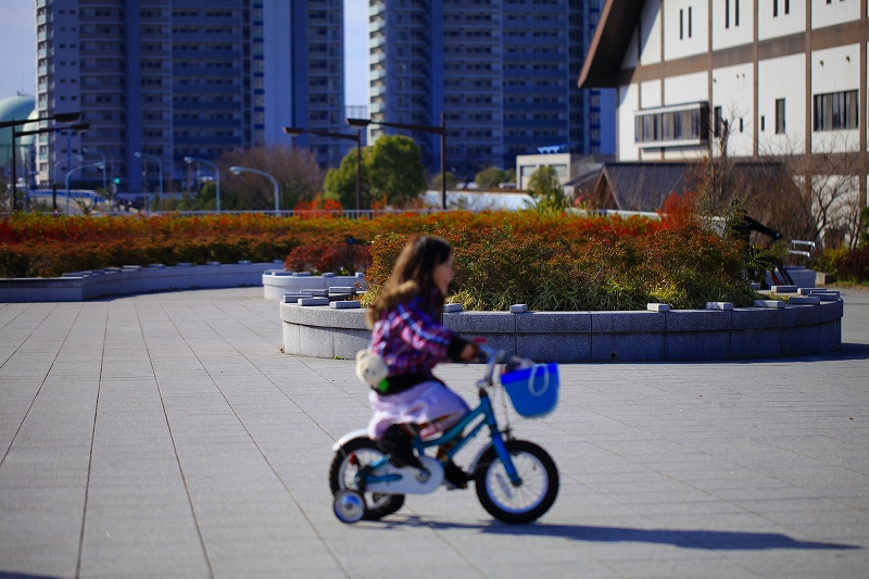 _MG_2186.jpg