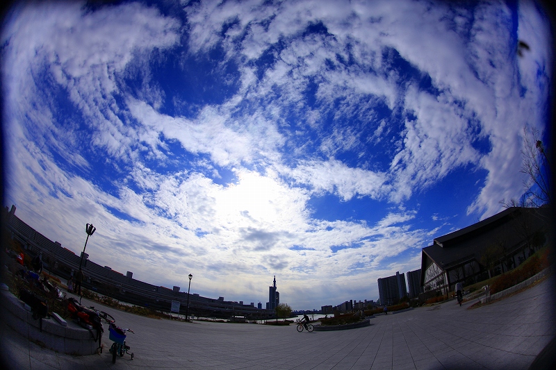 _MG_2200.jpg