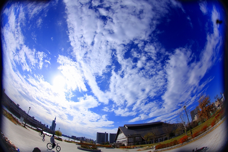 _MG_2204.jpg