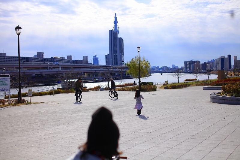 _MG_2205.jpg