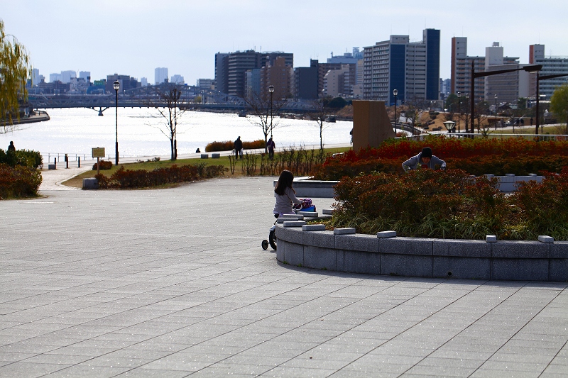 _MG_2233.jpg
