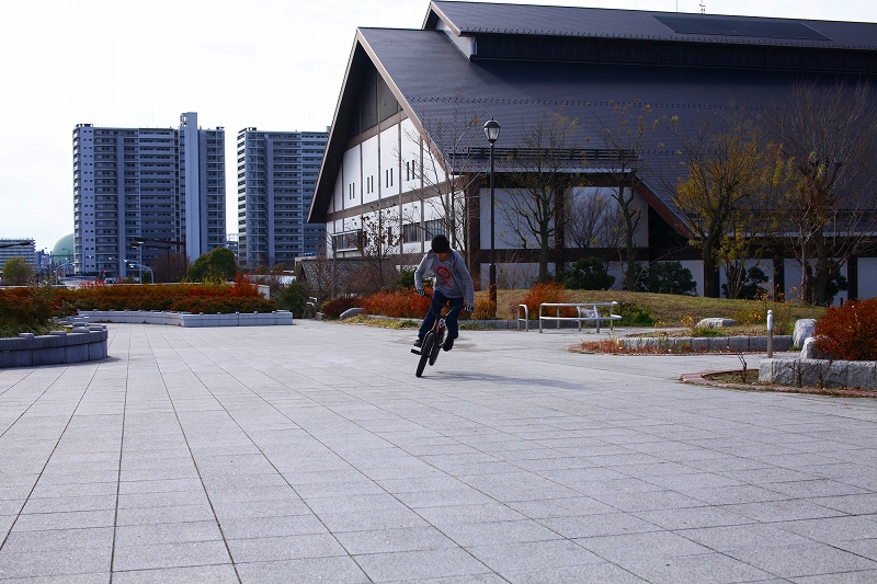 _MG_2241.jpg