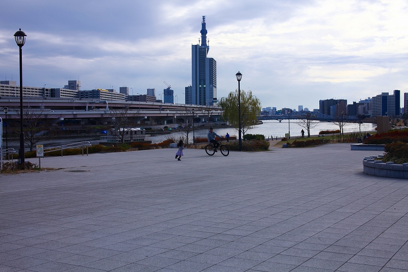 _MG_2242.jpg