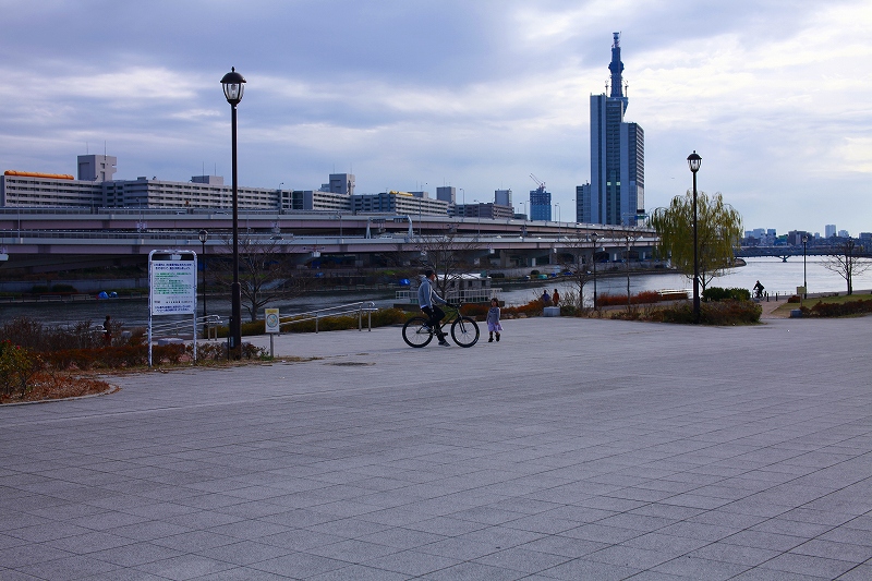 _MG_2243.jpg