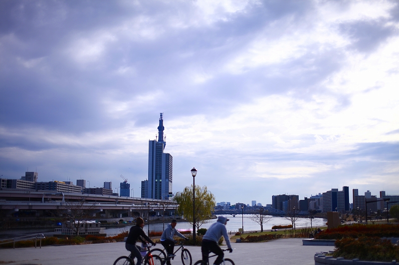 _MG_2244.jpg