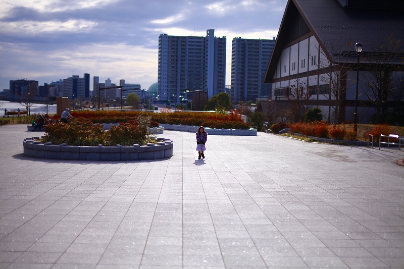 _MG_2248.jpg