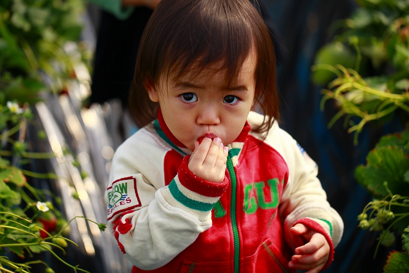 _MG_3060.jpg