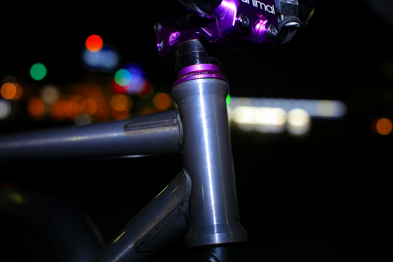 _MG_3113.jpg