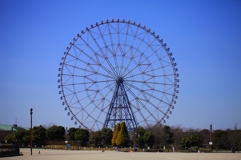 _MG_3242.jpg