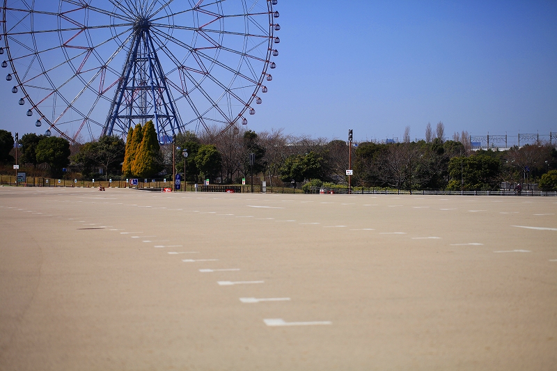 _MG_3244.jpg