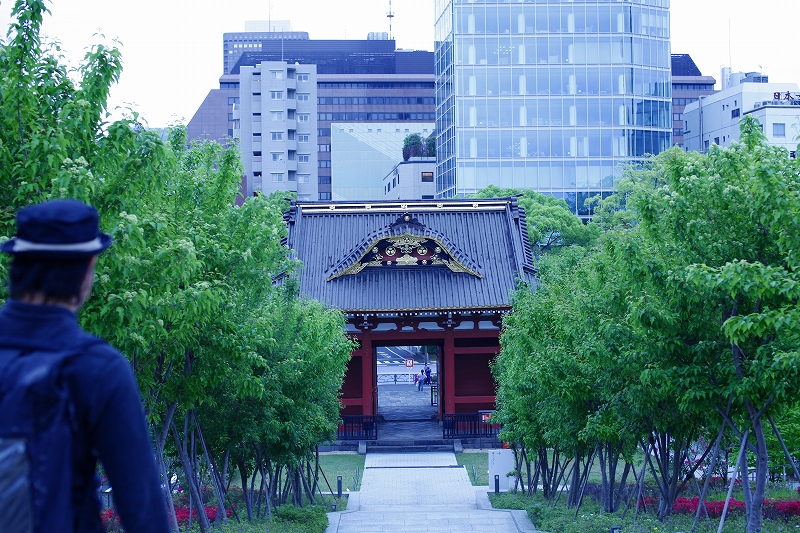 _MG_3617.jpg