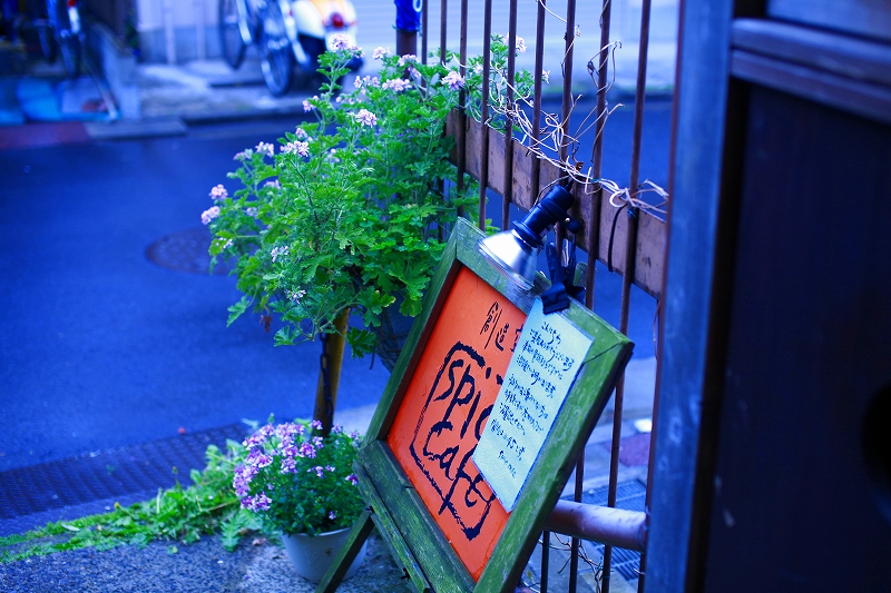 _MG_3725.jpg