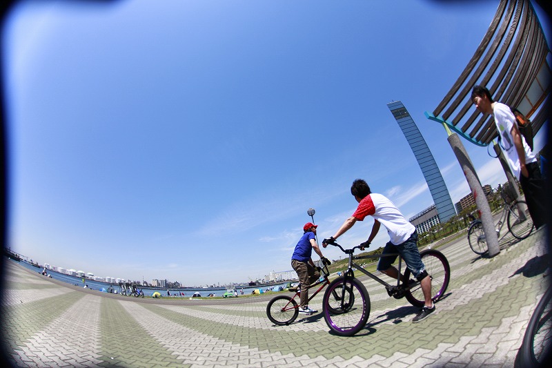 _MG_3801.jpg