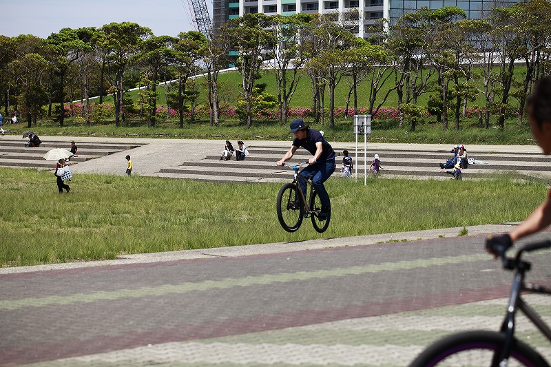 _MG_3855.jpg
