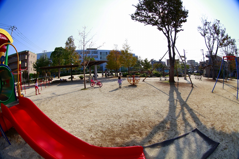 _MG_6926.jpg