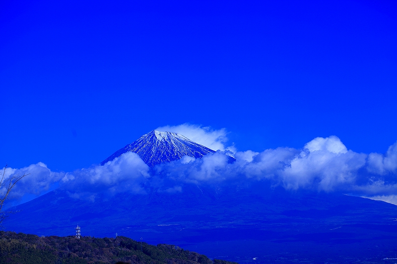 _MG_8017.jpg