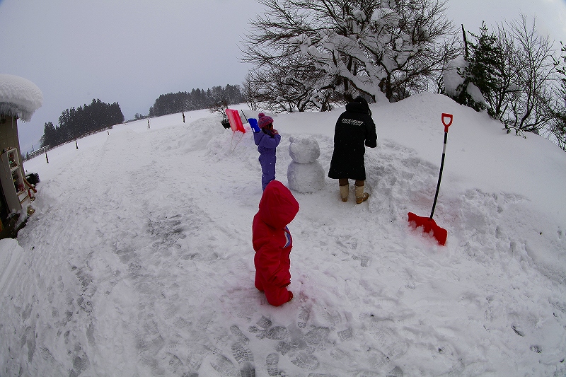 _MG_8073.jpg