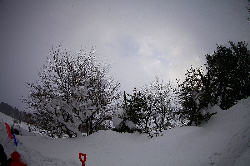 _MG_8075.jpg