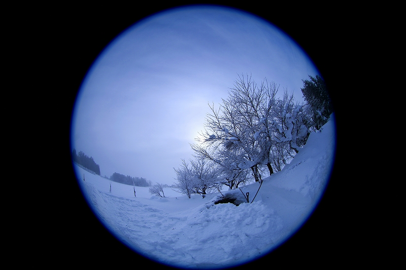 _MG_8163.jpg