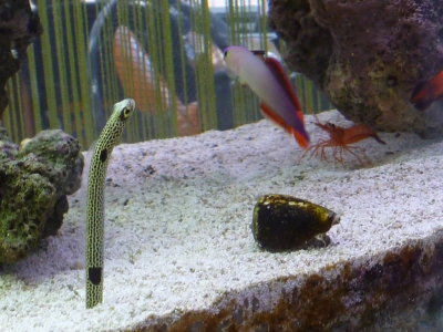 P1020745.JPG